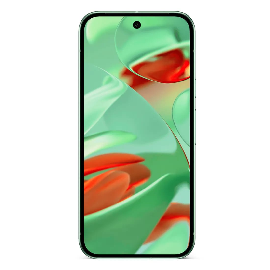 Смартфон Google Pixel 9 12/256 ГБ US, Dual: nano SIM + eSIM, Wintergreen - изображение №2