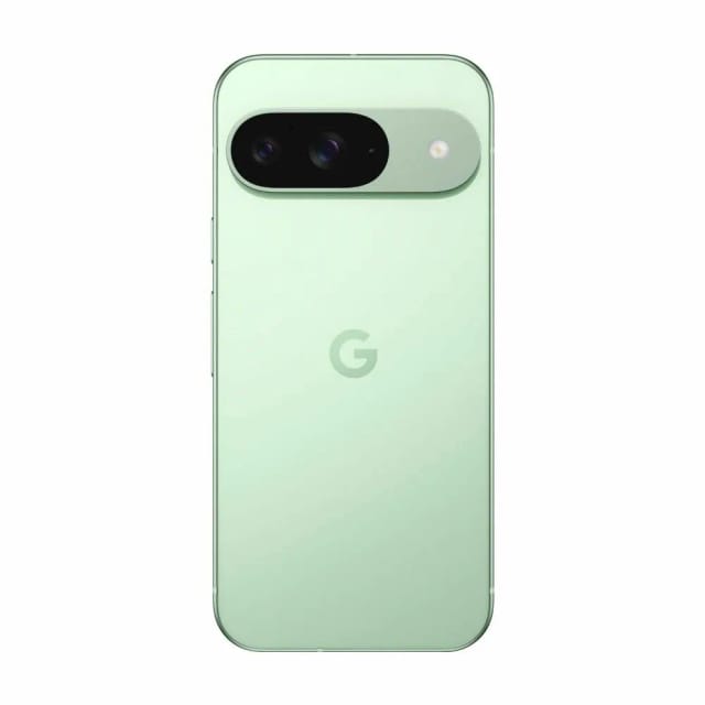 Смартфон Google Pixel 9 12/256 ГБ US, Dual: nano SIM + eSIM, Wintergreen - изображение №4
