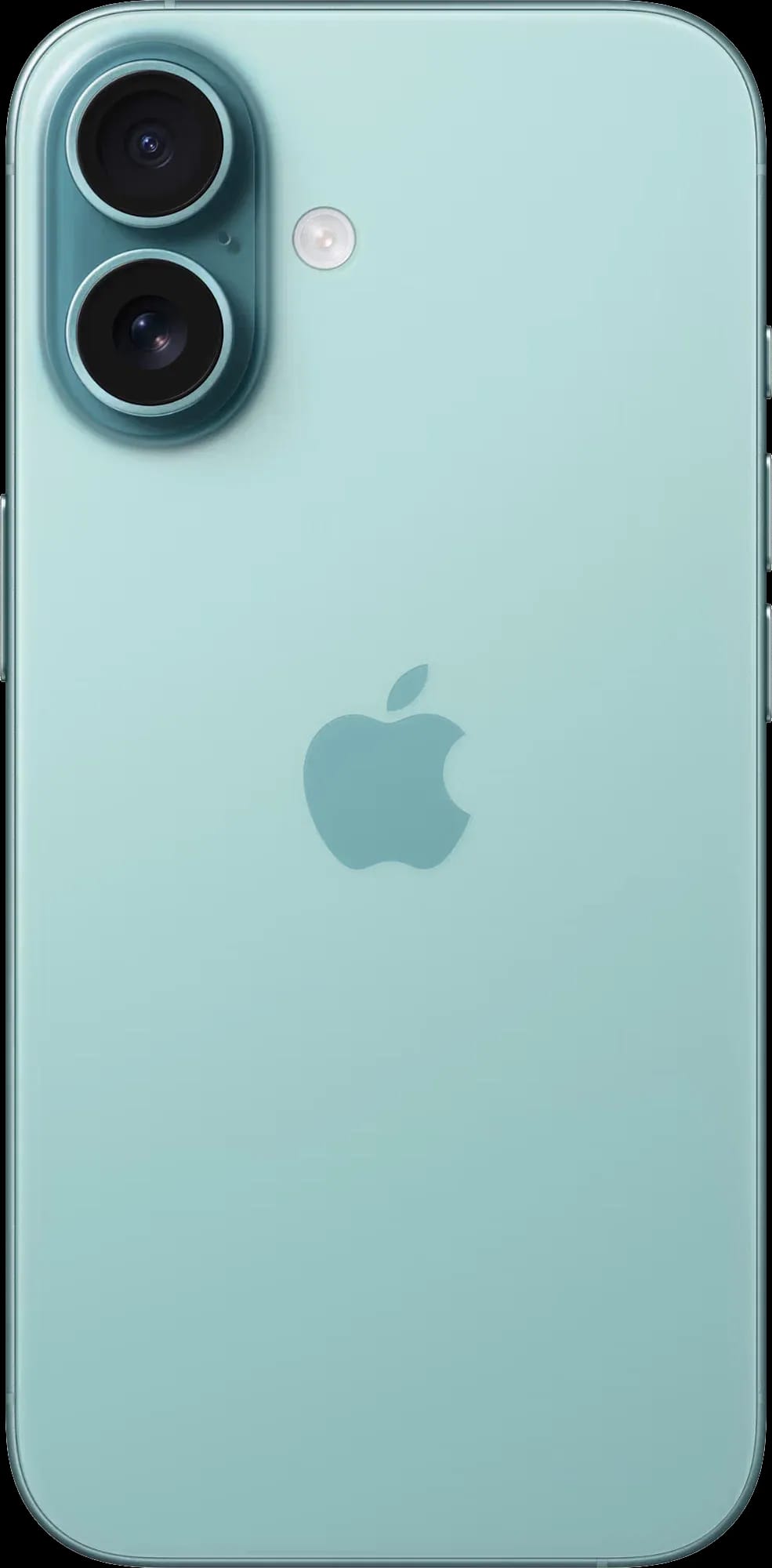 Смартфон Apple iPhone 16 128 ГБ, Dual: nano SIM + eSIM, зелёный - изображение №5