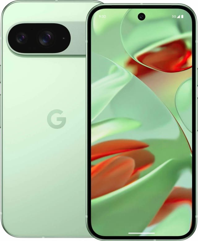 Смартфон Google Pixel 9 5G 12/256 ГБ, Dual: nano SIM + eSIM, Green (без RuStore) - изображение №1